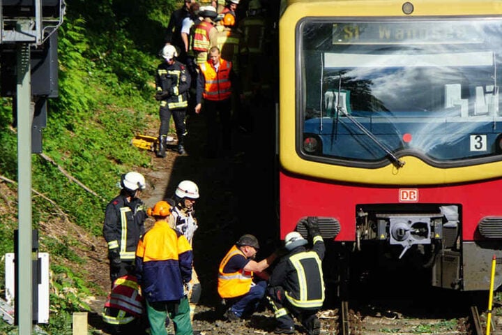 Einsatzkräfte der Bundespolizei und der Feuerwehr waren vor Ort, um den Baum von den Gleisen zu entfernen.