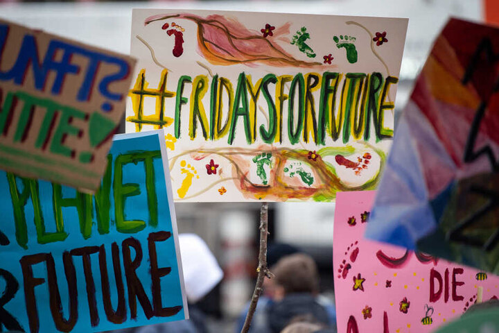 Unter dem Motto "Fridays for Future" schwänzen Schüler den Unterricht, um für den Klimaschutz zu demonstrieren. (Archivbild)