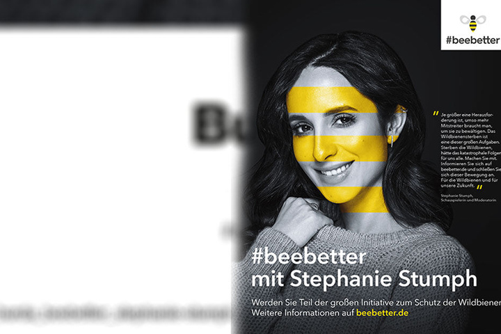 Gestreift wie eine Biene - Stephanie Stumph ruft zur Rettung der Wildbienen auf. 560 Arten gibt es in Deutschland.