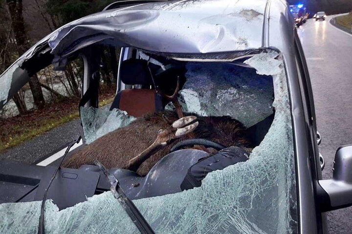 Der 47-jährige Vater und sein Sohn wurden bei dem Unfall verletzt.