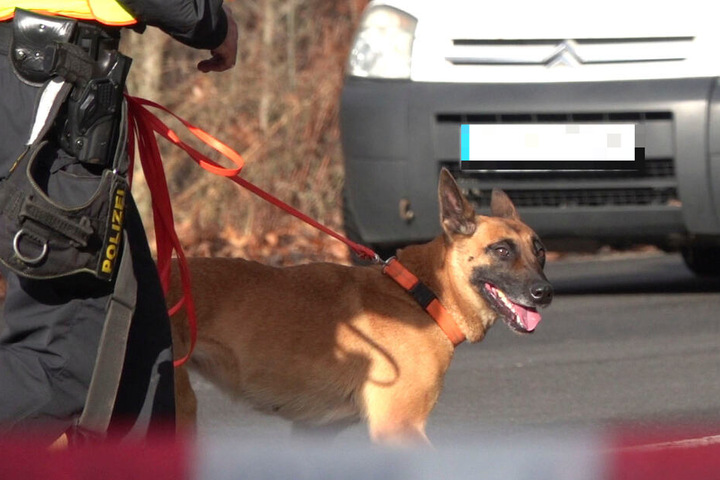 Polizeihunde suchen aktuell nach dem Flüchtigen.