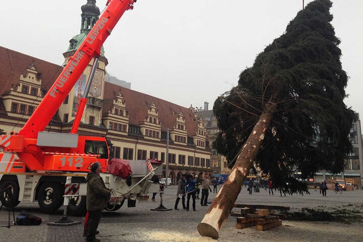 Der Nadelbaum wurde mithilfe eines Kranes der Feuerwehr Leipzig aufgerichtet.