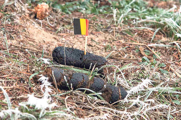 Sichtbar markiert: Ob das Fähnchen Abhilfe schaffen kann?