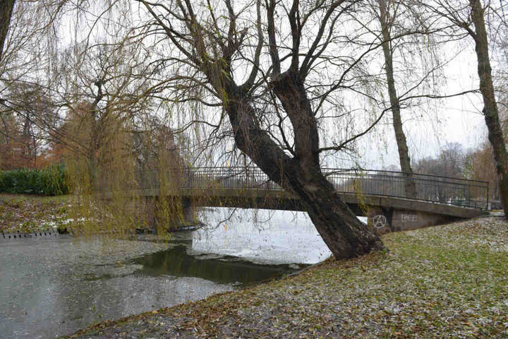 Mit Hilfe eines neuen Maßnahmenkatalogs soll die Schloßteichinsel aufgehübscht werden.