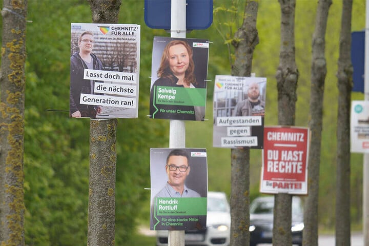 An mehreren Orten in Chemnitz, wie hier an der Neefestraße, werden Bäume mit Wahlwerbung plakatiert.