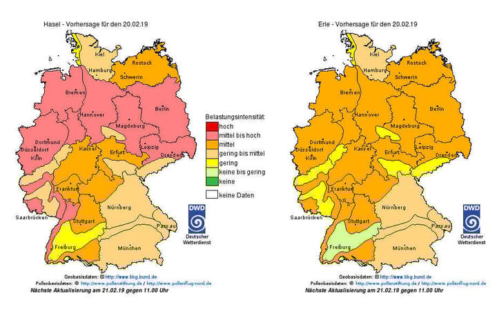Der Pollenflug-Gefahrenindex wird vom DWD täglich aktualisiert.