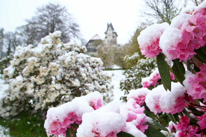 Auch in Hohenstein-Ernstthal fielen einige Zentimeter Schnee.