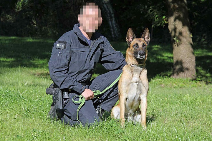 Bei der Durchsuchung war der vierjährige Malinois L'Yoda im Einsatz.