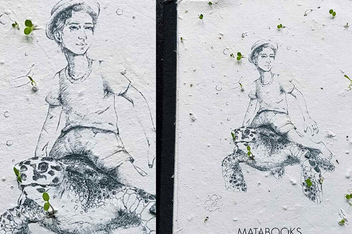Nach einigen Tagen wachsen die grünen Sprösslinge aus dem Buch-Cover.