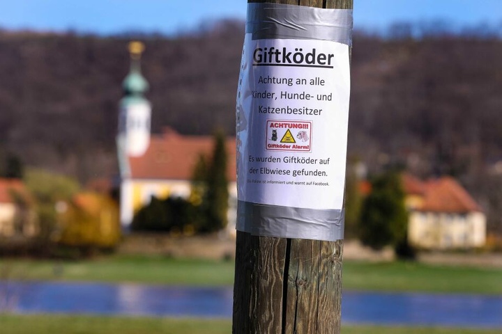Am Zschachwitzer Elbufer warnt jetzt ein Schild vor den Giftködern.