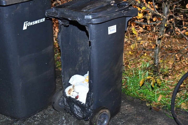 Auch die Mülltonnen in der Nähe des Feuers schmolzen dahin.