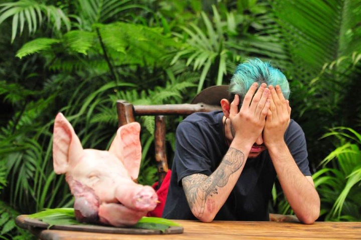 Ein ganzer Schweinekopf wird vor ihn gestellt. Daniele muss die Schweinsnase in zweieinhalb Minuten essen.