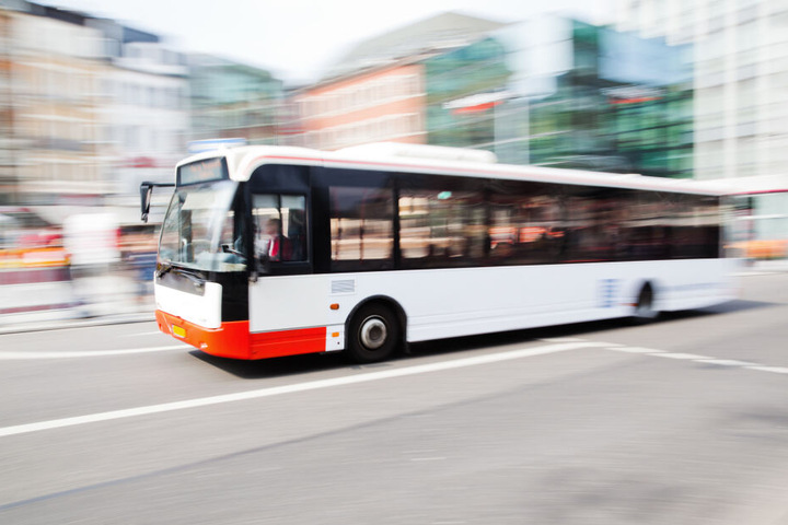 Als die Pferde zu schnell wurden, verfolgten die Polizisten die Tiere kurzerhand in einem Linienbus. (Symbolbild)