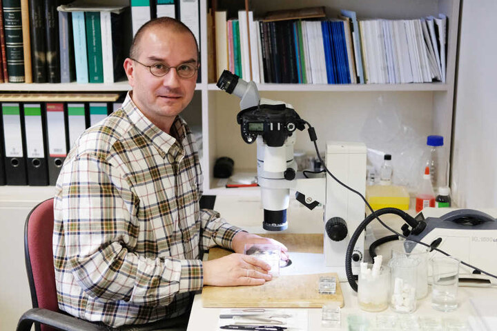 Biologe Sven Erlacher an seinem Mikroskop im Naturkundemuseum.