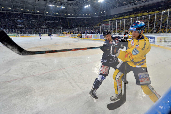 2016 kämpften Eislöwe Marius Garten (l.) und Fuchs Greg Classen an der Bande um die Scheibe im Dynamo-Stadion.