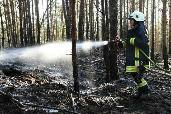 Trockenheit und Hitze machen die bayerischen Wälder für Feuer anfällig. (Archivbild)