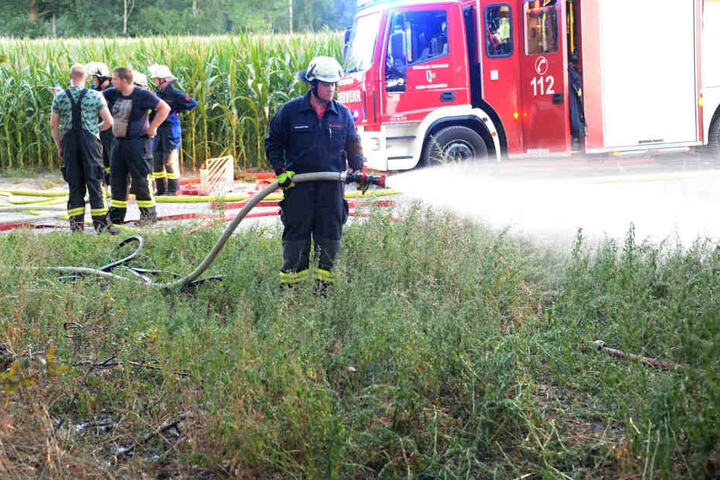 In dem Waldstück hatte sich das Unterholz entzündet.