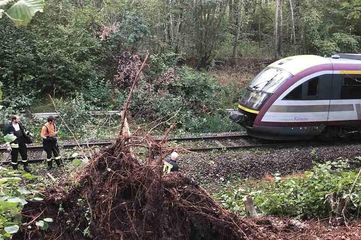 Ein Baum brachte den Zug zum Stehen.