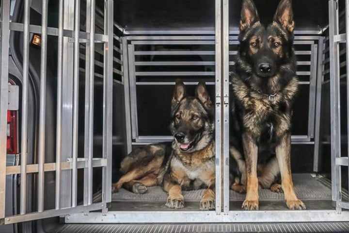 Die Hunde der Polizei Niederbayern werden in stabilen Boxen im Kofferraum zum Einsatzort gefahren.