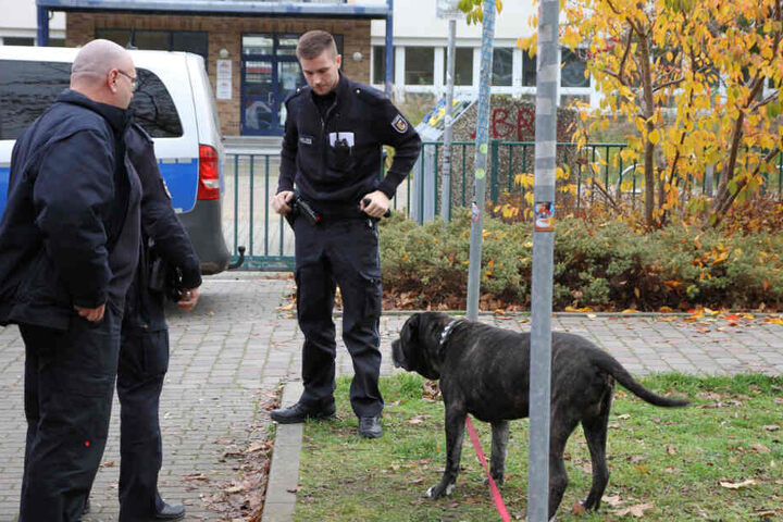 Die Einsatzkräfte kümmerten sich um den Vierbeiner.