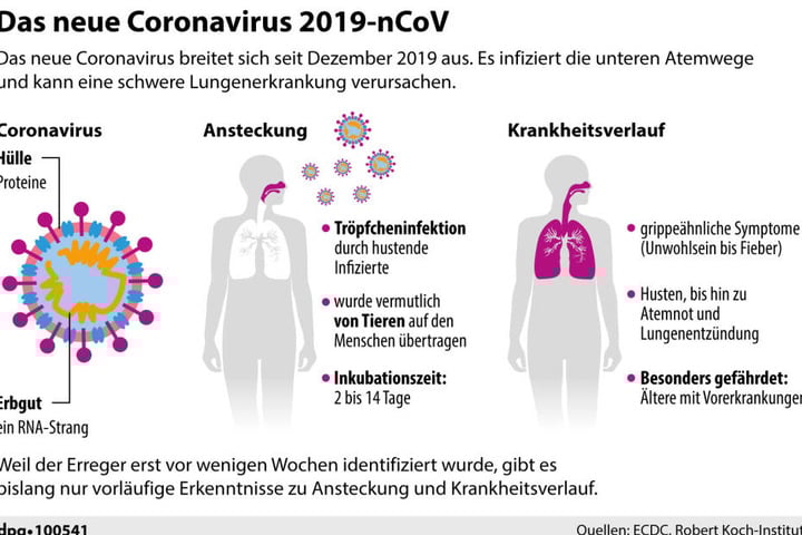 Das neue Coronavirus 2019-nCoV.