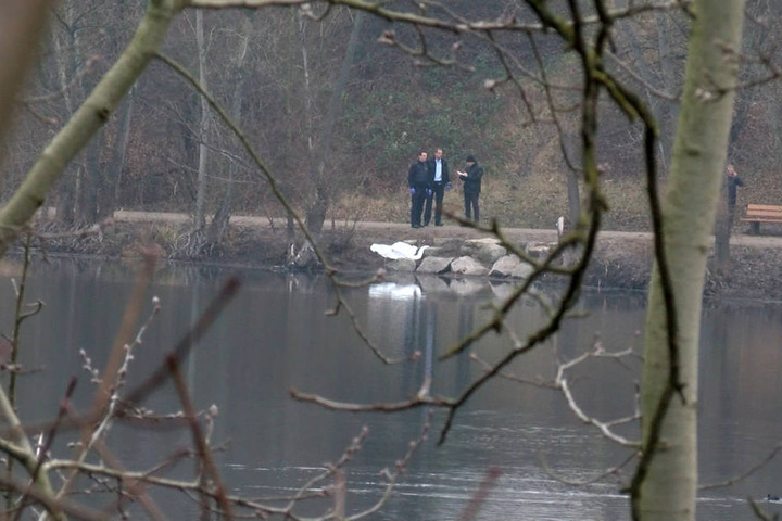 Ermittler der Polizei an einem kleinem See in Mannheim. In dem See hat ein Fußgänger die Leiche eines Babys gefunden. (Archivbild)