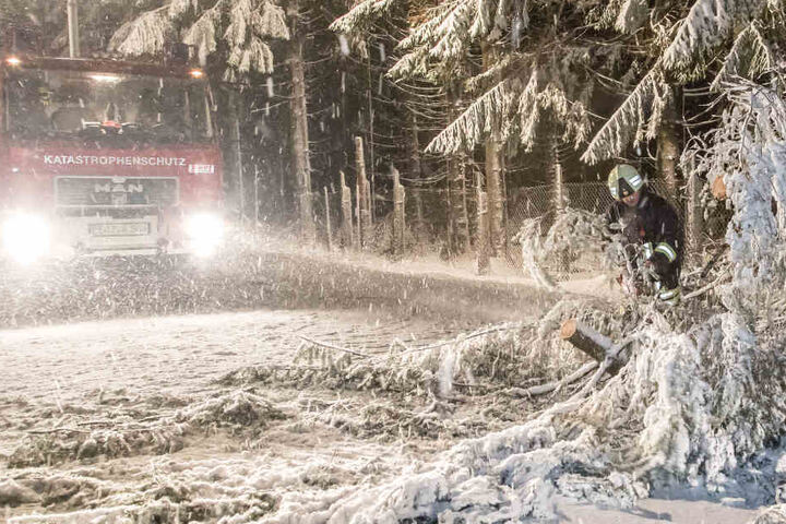 Erste Bäume halten das Gewicht nicht mehr Stand und kippen um. Zwischen Kretscham-Rothensehma und Hammerunterwiesental entwurzelte der schwere Schnee einen Baum.