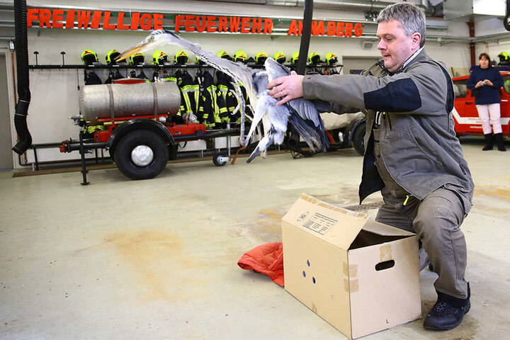 Michael Hunger (50) lässt seinen "Pinguin" wieder fliegen.