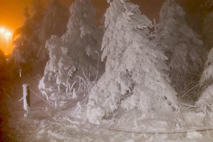 Der Frost hat die Landschaft in ein Wintermärchen verwandelt.