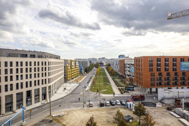 Viel zu viele Flächen in Dresden werden versiegelt, es fehlt am Bäumen - sagt der aktuelle Umweltbericht der Stadt.