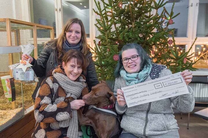 So viel Geld! Desiree Held (27) und Linda Wiedemann (28) übergaben 1 700 Euro an die Tierheimleiterin Susann Scheibner.