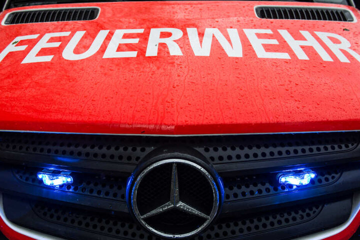 Die Feuerwehr spülte das Jungtier mit Löschwasser aus dem Rohr. (Symbolbild)