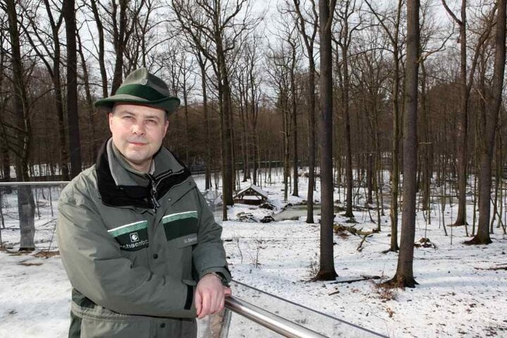 Auch beim Staatsbetrieb Sachsenforst werden in den kommenden Jahren Dutzend Stellen frei, weil Forstbedienstete in den Ruhestand gehen.