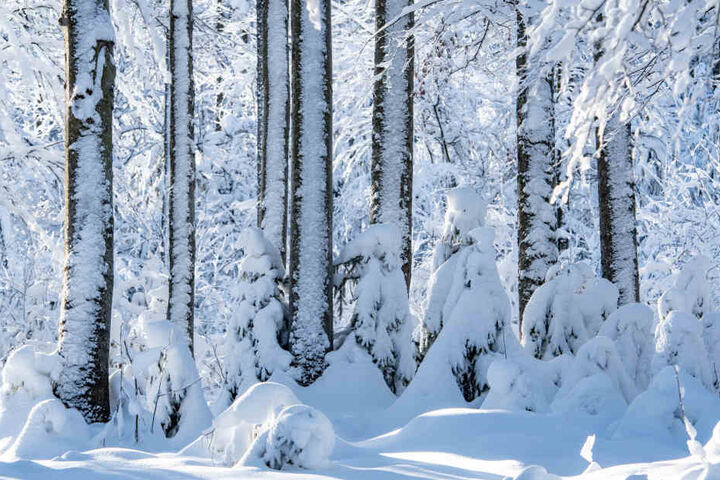 Wer weiße Weihnachten haben will, muss in die Berge fahren.
