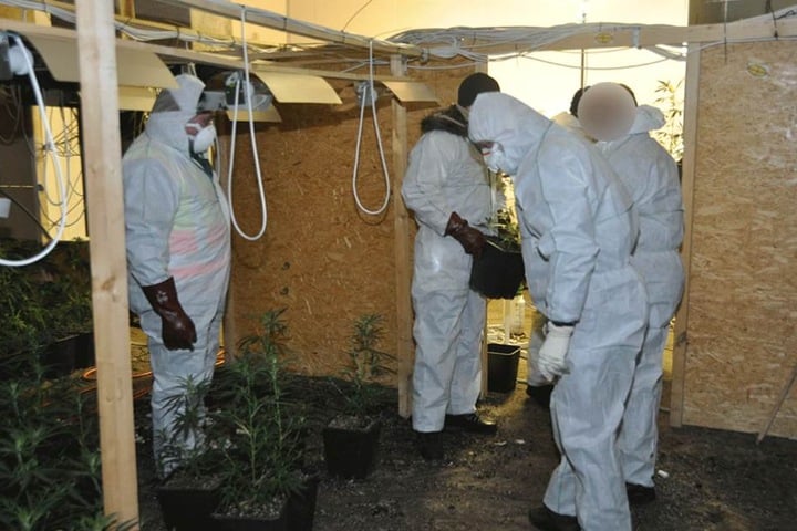 Polizisten fanden bei der Razzia Drogen, Geld und Waffen (Symbolbild).