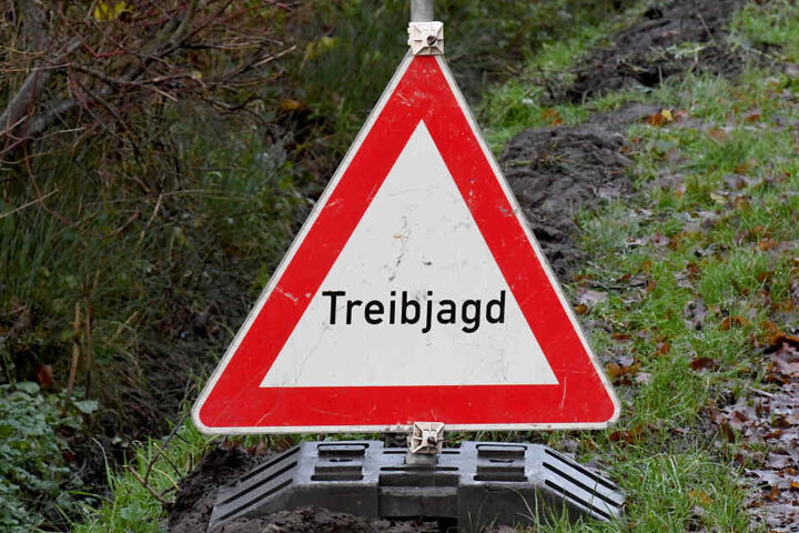 Das Ganze geschah während einer Treibjagd. (Symbolbild)