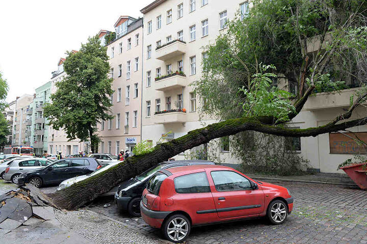 Der aufgeweichte Boden ließ in Berlin-Neukölln einen Baum auf zwei Autos stürzen.