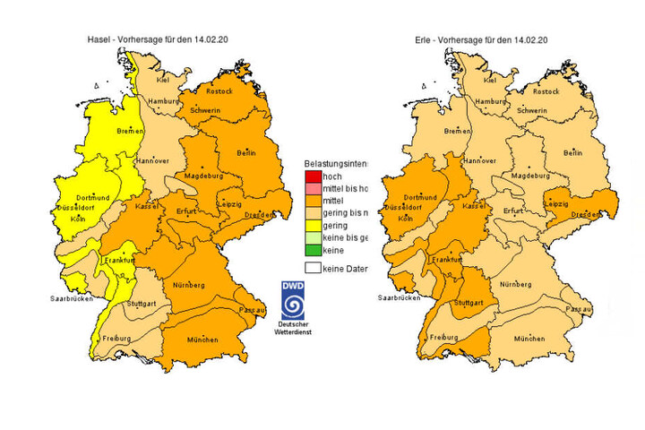 Die aktuelle Pollenbelastung sowohl für Hasel (links) als auch Erle (rechts) in Deutschland.