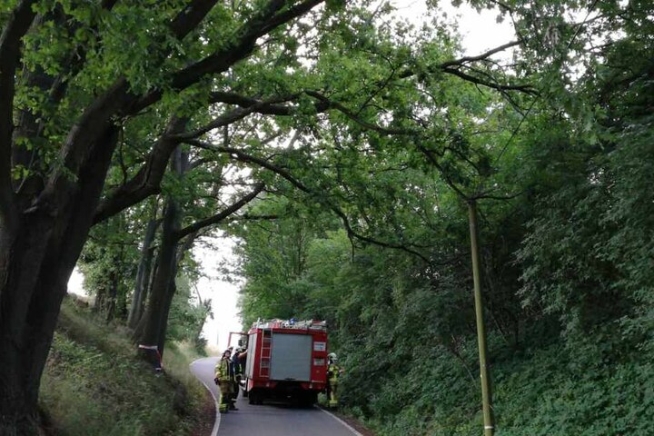 Die Feuerwehren Nerchau und Grimma waren vor Ort, um den Schaden zu beheben.