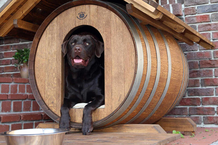 In diesen Hundehütten lagerte einst Wein.