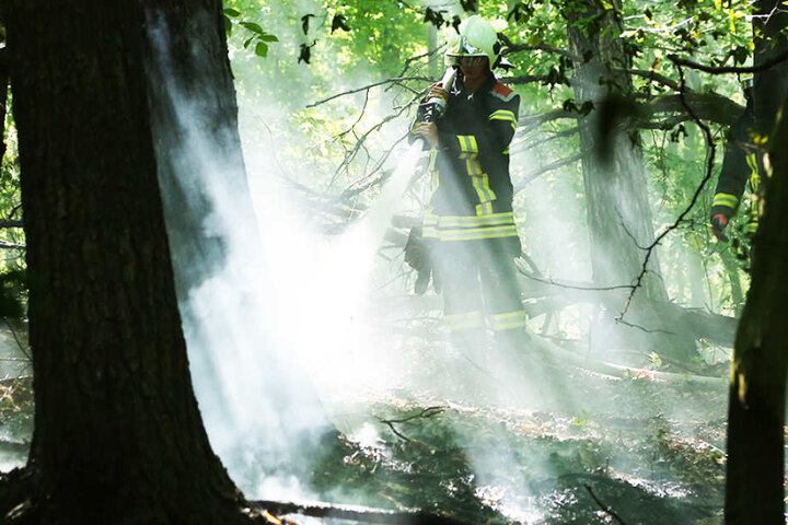 Bereits am Vortag musste die Feuerwehr hier wegen eines Brandes anrücken.