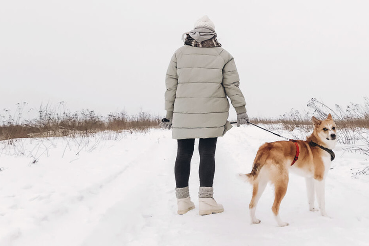 Als eine Frau in einem Wald in Olbernhau mit ihrem Hund spazieren war, wurde sie von einem Unbekannten sexuell belästigt. (Symbolbild)