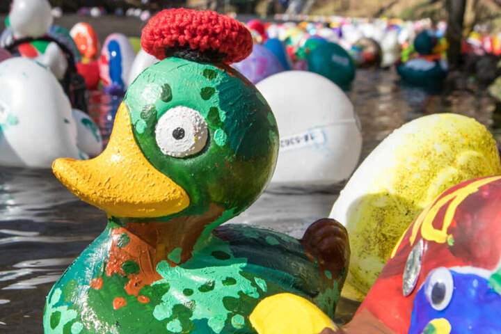 Bunte Enten werden am Sonntag über den Fluss Geißlede schwimmen.