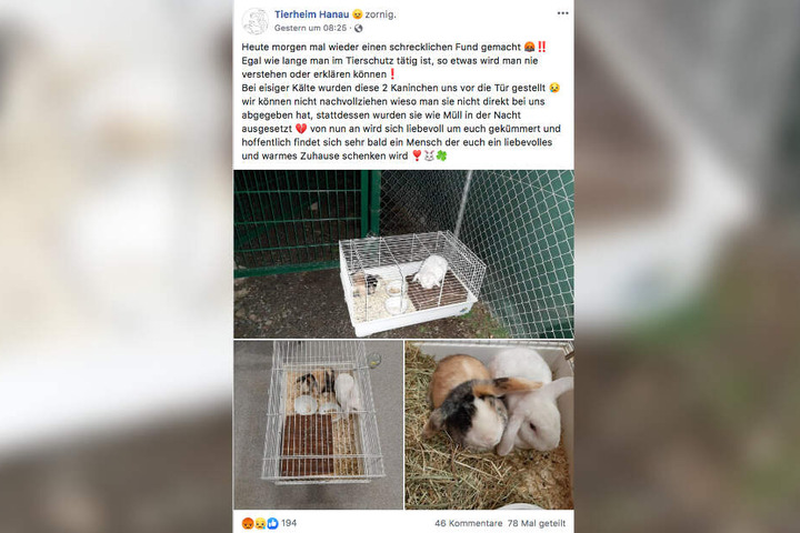 Die Mitarbeiter zeigten sich auf Facebook entsetzt.