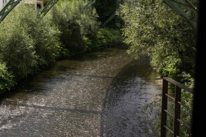 Passanten hatten einen leblosen Körper in der Wupper entdeckt. (Symbolbild)