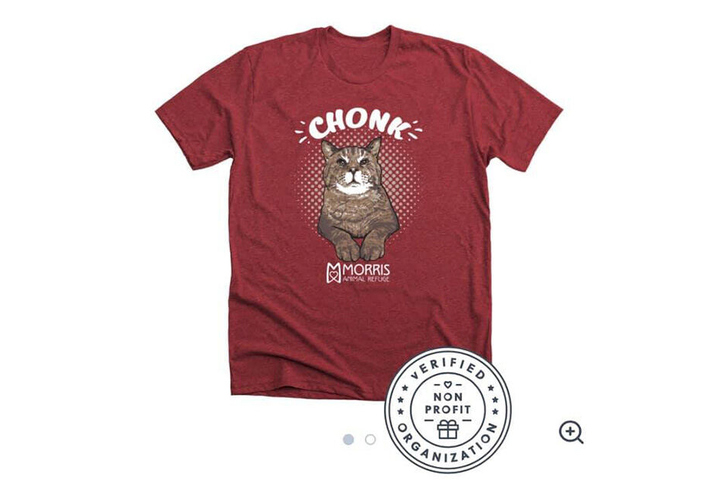 Natürlich hat Mr. B mittlerweile seine eigene T-Shirt-Kollektion. Der Kater ist ein Profi, wenn es um seine Vermarktung geht...