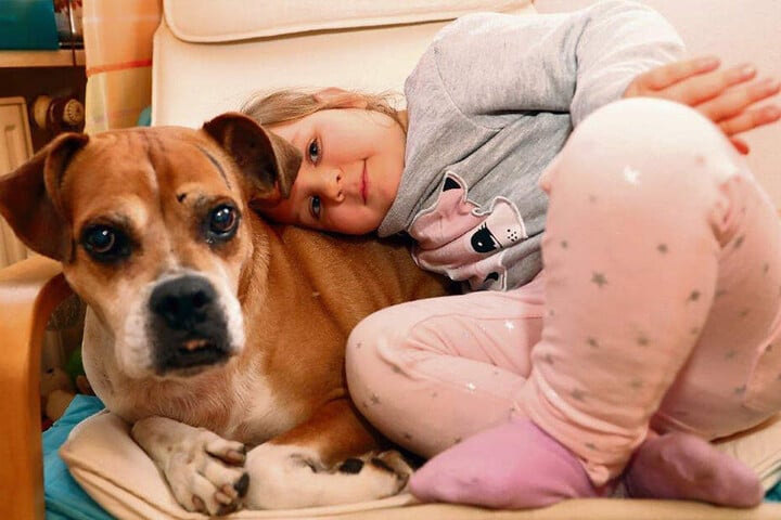 Sie ist die liebste Freundin auf vier Beinen: Seit drei Jahren wohnt Mischlingshündin Lady (11) bei der Mini-Familie - ein spanischer Straßenhund.
