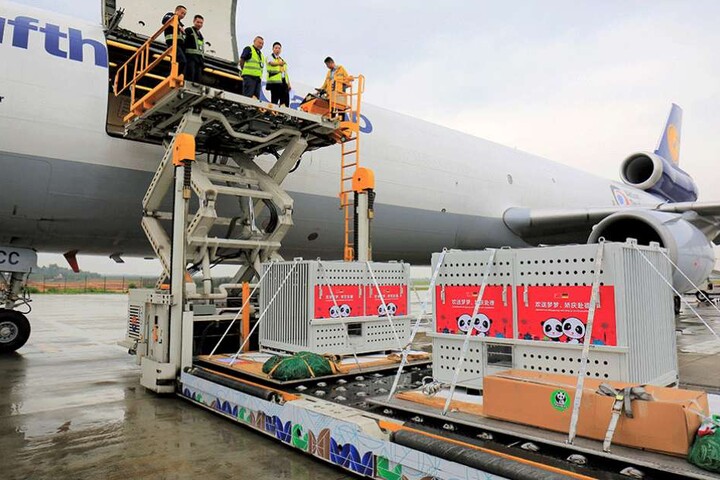 In diesen Transportboxen reisen die Tiere nach Berlin.