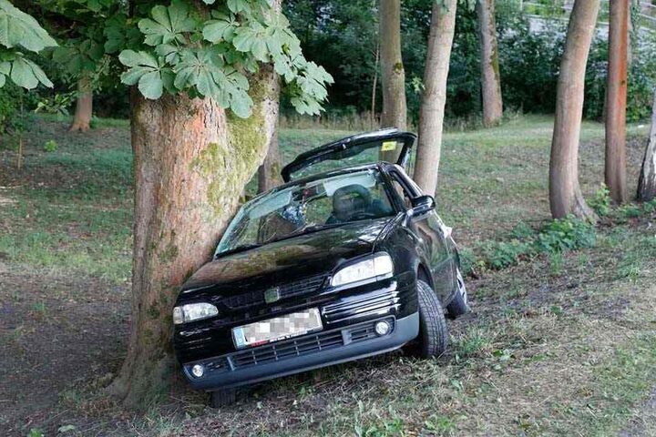 Aus dieser Perspektive sieht man, der Seat wurde seitlich an den Baum geschleudert.