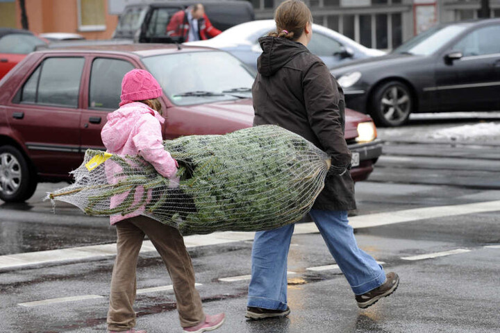 Mini-Weihnachtsbäume sind schon ab 3 Euro zu haben. Nach oben sind den Preisen keine Grenzen gesetzt. Ein 5-Meter-Baum schlägt schon mal mit rund 350 Euro zu Buche.